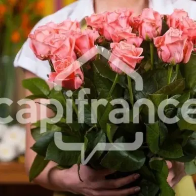 Vente - Fleuriste - Grâces (22200)-photo-1