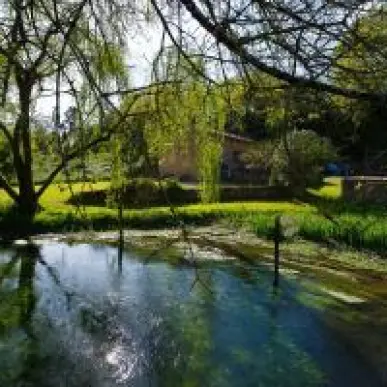 Vente - Hôtel - Gîte - Vienne (86)-photo-1