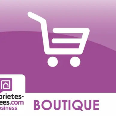 Vente - Décoration - Côte-d'Or (21)-photo-2