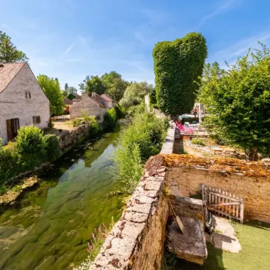 Vente - Gîte - Avelanges (21120)-photo-2