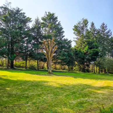 Vente Terrain ZI / ZA - Le Mans (72000)-photo-1
