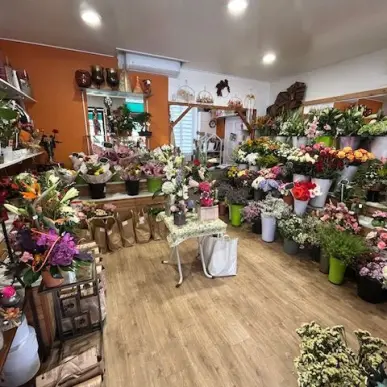 Vente - Fleuriste - Villeurbanne (69100)-photo-4