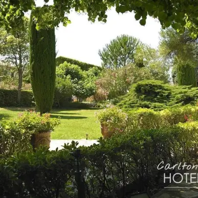 Vente - Hôtel - Restaurant - Auberge - Institut de beauté - Vaucluse (84)-photo-6