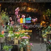 Vente - Fleuriste - Haute-Garonne (31)
