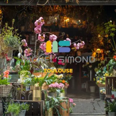 Vente - Fleuriste - Haute-Garonne (31)-photo-1