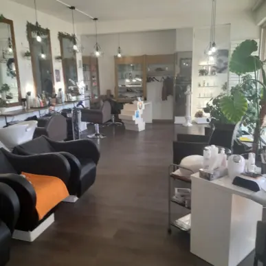Vente -  - Illkirch-Graffenstaden (67400)-photo-4