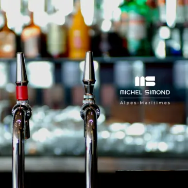 Vente - Bar - Bar à thème - Licence III - Alpes-Maritimes (06)-photo-6