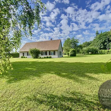 Vente Terrain ZI / ZA - Chemery (41700)-photo-2