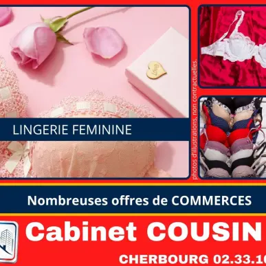 Vente - Alimentation - Lingerie - Ancteville (50200)-photo-1