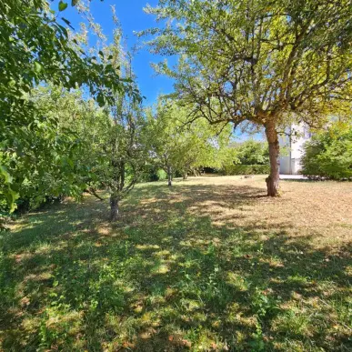 Vente - Gîte - Côte-d'Or (21)-photo-6