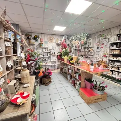 Vente - Fleuriste - Blet (18350)-photo-5