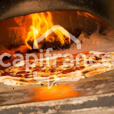 Vente - Restaurant - Aix-les-Bains (73100)-photo-4