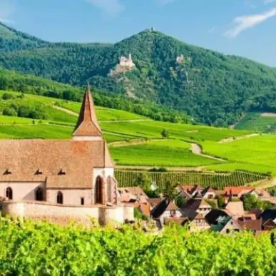 Location Local Commercial - Haut-Rhin (68)-photo-1