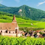 Location Local Commercial - Haut-Rhin (68)