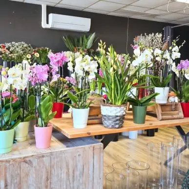 Vente - Fleuriste - Le Grau-du-Roi (30240)-photo-8