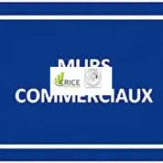 Vente de murs de boutique - Charente (16)