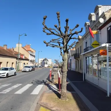 Vente - Bar - Tabac - Allier (03)-photo-2