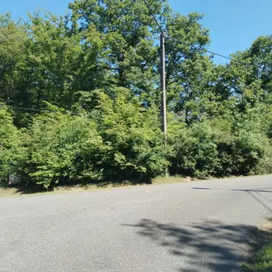 Vente Terrain ZI / ZA - Bazoches-sur-le-Betz (45210)-photo-5