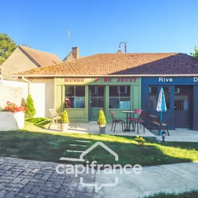 Vente - Gîte - Ainay-le-Château (03360)-photo-4