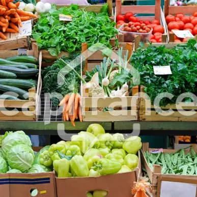 Vente - Alimentation - Epicerie - Fruits et légumes - Rennes (35000)-photo-1