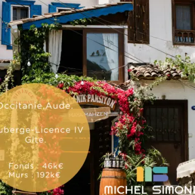 Vente - Bar - Restaurant - Licence IV - Aude (11)-photo-2