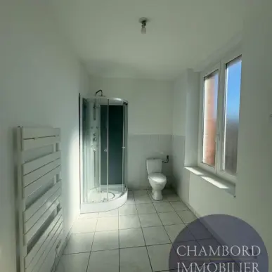 Location Entrepôt / Local d'activités - Blois (41000)-photo-7