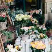 Vente - Esthétique - Craponne (69290)