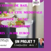 Location Local Commercial - Aude (11)