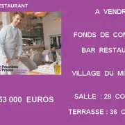 Vente - Bar - Restaurant - Aude (11)