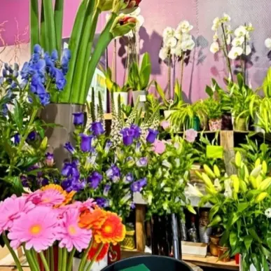 Vente - Fleuriste - Colombes (92700)-photo-6