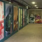 Vente de murs de boutique - La mongie (65200)