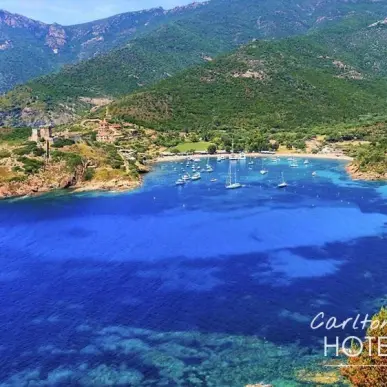 Vente - Hôtel - Corse-du-Sud (2A)-photo-1