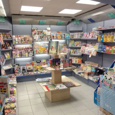 Vente - Librairie - Presse - Finistère (29)-photo-6