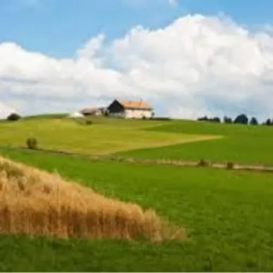 Location Local Commercial - Haut-Rhin (68)-photo-1