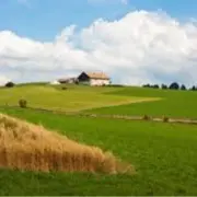 Location Local Commercial - Haut-Rhin (68)