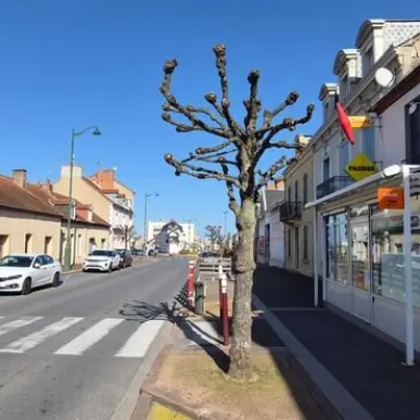Vente - Bar - Tabac - Allier (03)-photo-6