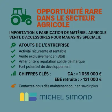 Vente - Bricolage - Motoculteurs - Ille-et-Vilaine (35)-photo-1