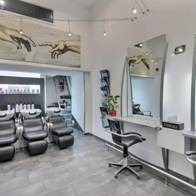 Vente - Salon de coiffure - Loire (42)-photo-8