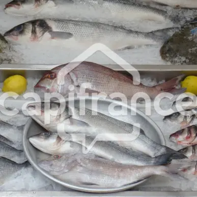 Vente - Poissonnerie - Combrit (29120)-photo-5