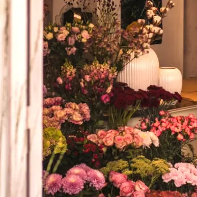 Vente - Fleuriste - Hauts-de-Seine (92)-photo-4