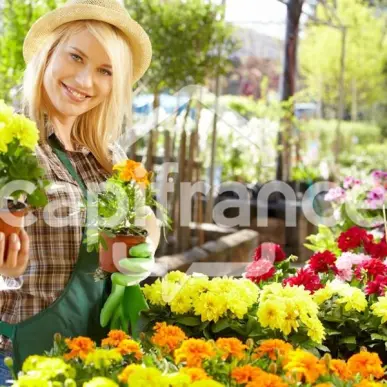 Vente - Fleuriste - Lille (59000)-photo-5