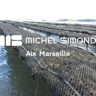 Vente - Poissonnerie - Bouches-du-Rhône (13)-photo-2