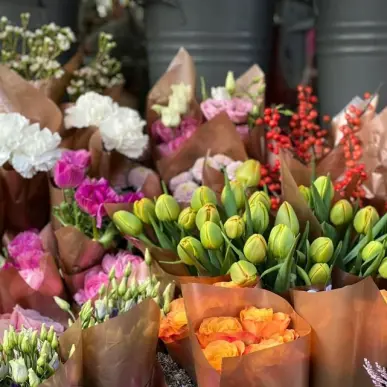 Vente - Fleuriste - Ventabren (13122)-photo-4