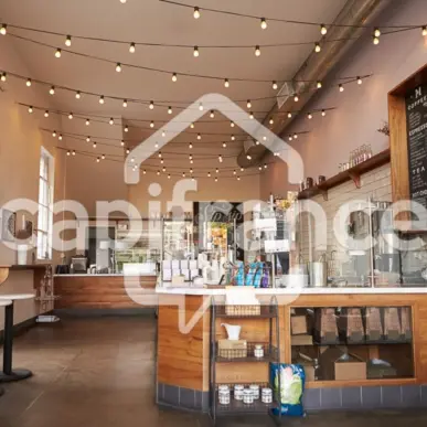 Vente - Bar - Restaurant - Glacier - Pyrénées-Orientales (66)-photo-9
