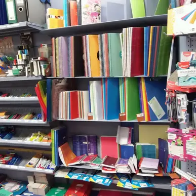 Vente - Librairie - Presse - Finistère (29)-photo-4
