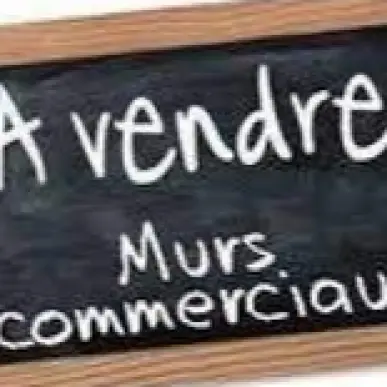 Vente - Restaurant - Yonne (89)-photo-2