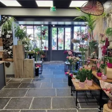 Vente - Fleuriste - Puy-de-Dôme (63)-photo-6