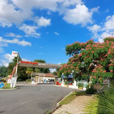Vente - Garage - Eymet (24500)-photo-5