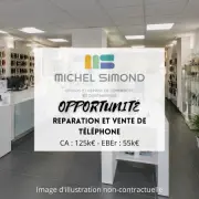 Vente - Services informatiques - Téléphonie - Morbihan (56)