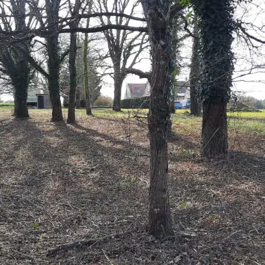 Vente Terrain ZI / ZA - Chaumont-sur-Loire (41150)-photo-3